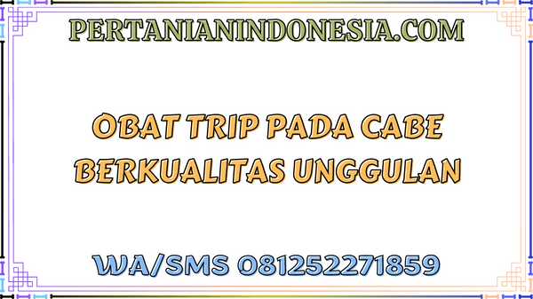 Obat Trip Pada Cabe Berkualitas Unggulan